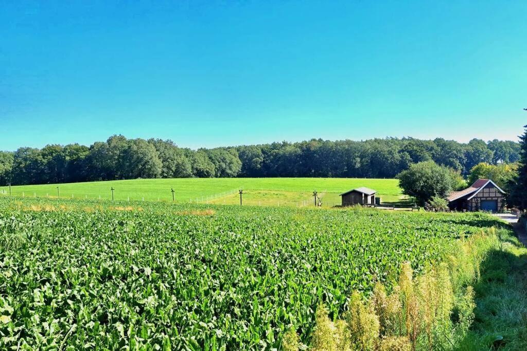 Das Bergherz Ruhe + Natur Pur Reken ภายนอก รูปภาพ