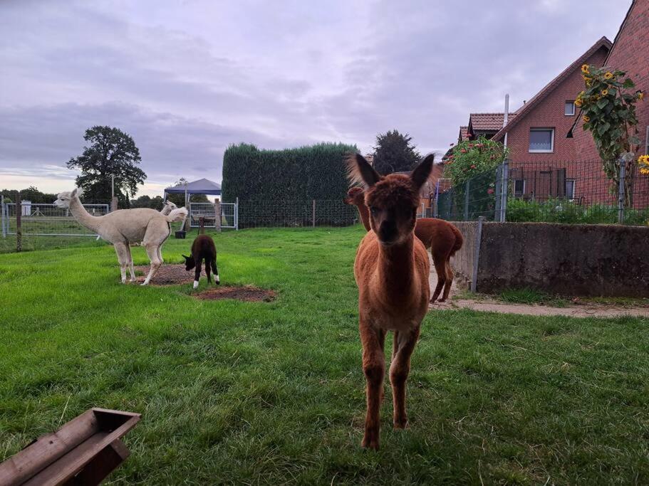Das Bergherz Ruhe + Natur Pur Reken ภายนอก รูปภาพ